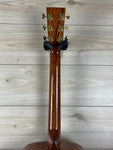 Zivan Custom Made Acoustic Guitar with All Brazilian Wood from Amazon rainforest