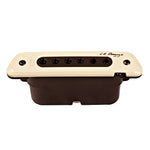 L.R. Baggs M80 Magnetic Pickup with full Range