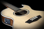 Washburn EA20SNB Festival Nuno Bettencourt Acoustic-Electric Guitar - CBN Music Warehouse